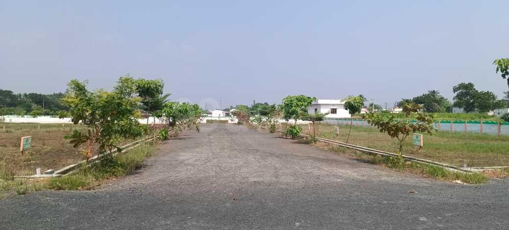 plot for sale in Kasipadu